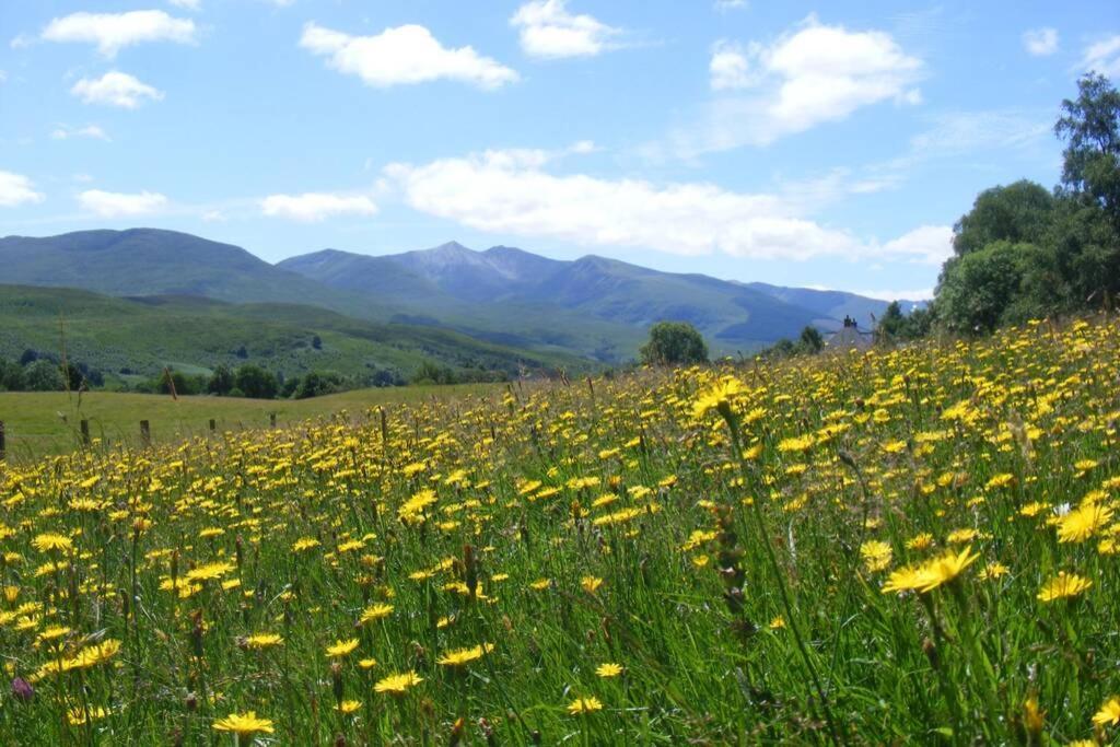 Cul Darach Lodge, Glen Roy Nature Reserve Roybridge Exteriör bild